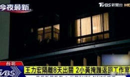 毁灭性爆料王力宏视频在线观看,揭秘娱乐圈惊人内幕