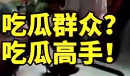 吃瓜群众之王最新小说免费阅读,揭秘小说中的神秘世界
