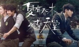 乔木爆料视频大全,揭秘娱乐圈幕后真相