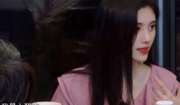鞠婧爆料杨迪视频大全集,揭秘娱乐圈背后的故事