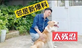 二狗子邻居爆料视频,邻里纠纷背后的惊人真相