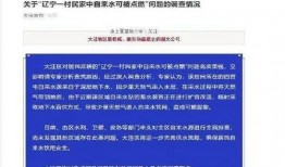 爆料辽宁盘锦事件视频,揭秘背后真相与争议