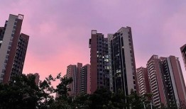 今天楼盘爆料信息最新动态,揭秘神秘新盘亮点