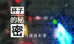 淮安饭店爆料视频播放网站,揭秘幕后真相