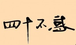四十不惑在线观看,人生抉择与自我觉醒的在线启示录