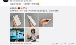 坚果加工爆料怎么做视频,视频带你探秘坚果加工全过程