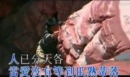 新家法在线观看,揭秘现代家庭伦理冲突与和谐之道