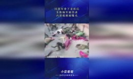 缅甸内部爆料视频播放,缅甸内部爆料视频揭露惊人真相