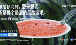 吃瓜文案娱乐圈,揭秘明星幕后故事