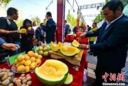 舞台吃瓜最新事件爆料,最新吃瓜事件揭秘，娱乐圈幕后真相曝光