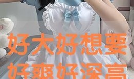 很h的视频在线观看,揭秘“很h”视频背后的秘密与影响