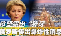 俄罗斯爆料事件最新消息,揭秘最新进展与影响