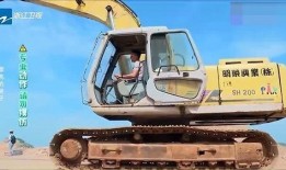 挖掘机爆料明星视频,引发网友热议