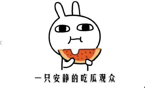 今天吃瓜是什么意思,网络热词背后的文化现象